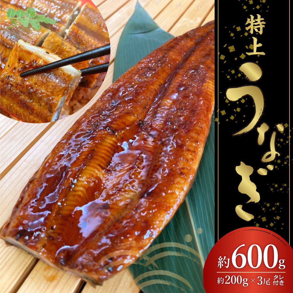 【ふるさと納税】特上うなぎ 約600g (約200g×3尾) タレ付き うなぎ 鰻 ウナギ 国産 九州産 蒲焼き かばやき 冷凍 うな重 ひつまぶし タレ 送料無料