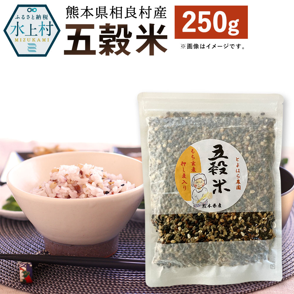 【ふるさと納税】ヘルシー五穀米 250g 国産 熊本県産 黒米 もち皮付き押し麦 うるち玄米 もち押し麦 赤米 雑穀米 ブレンド 送料無料のサムネイル