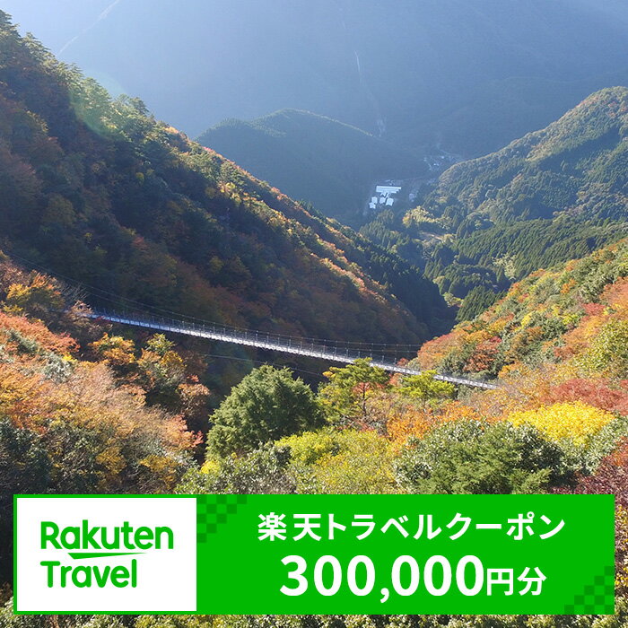 【ふるさと納税】熊本県水上村の対象施設で使える楽天トラベルクーポン 寄付額1,000,000円