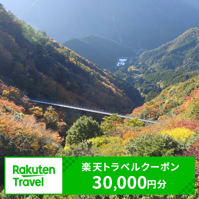 【ふるさと納税】熊本県水上村の対象施設で使える楽天トラベルクーポン 寄付額100,000円