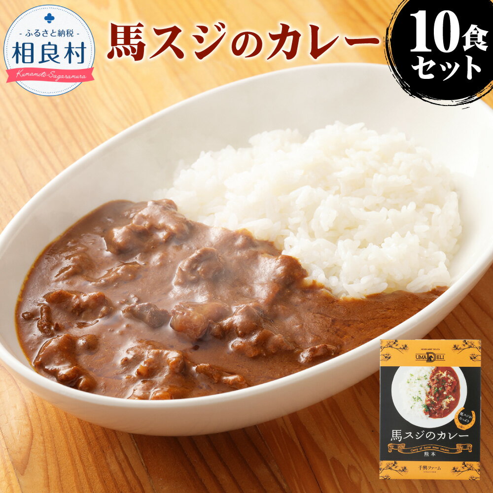 馬スジのカレー 10食セット 210g×10個 合計2.1kg 10食分 詰め合わせ 馬スジ カレー 馬すじ レトルト 馬 料理 冷凍 送料無料