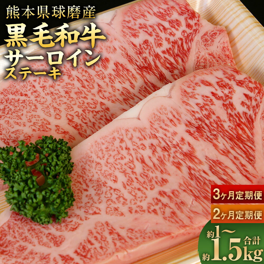 【選べる定期便】 球磨産 黒毛和牛 サーロインステーキ 1回合計約500g 約250g×2枚 お肉 肉 牛肉 ご褒美 厚め 上質 旨味 濃厚 2ヶ月定期便 3ヶ月定期便 サーロイン ステーキ 国産 九州産 熊本県産 熊本県 送料無料