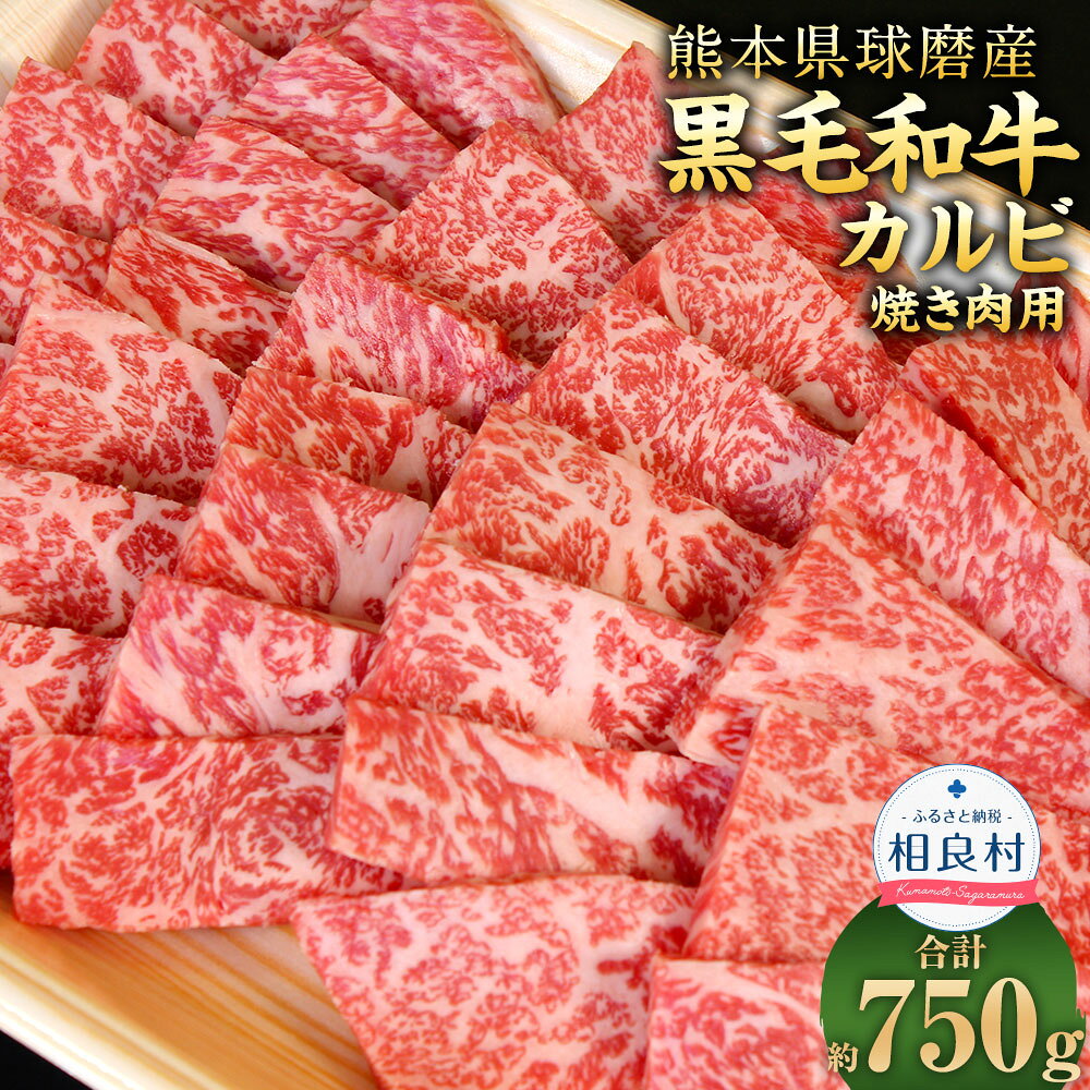 球磨産 黒毛和牛 カルビ焼き肉用 約750g 上質 旨味 前バラ かいの身 友バラ ごちそう 贅沢 カルビ 焼肉 国産 九州産 熊本県産 熊本県 送料無料