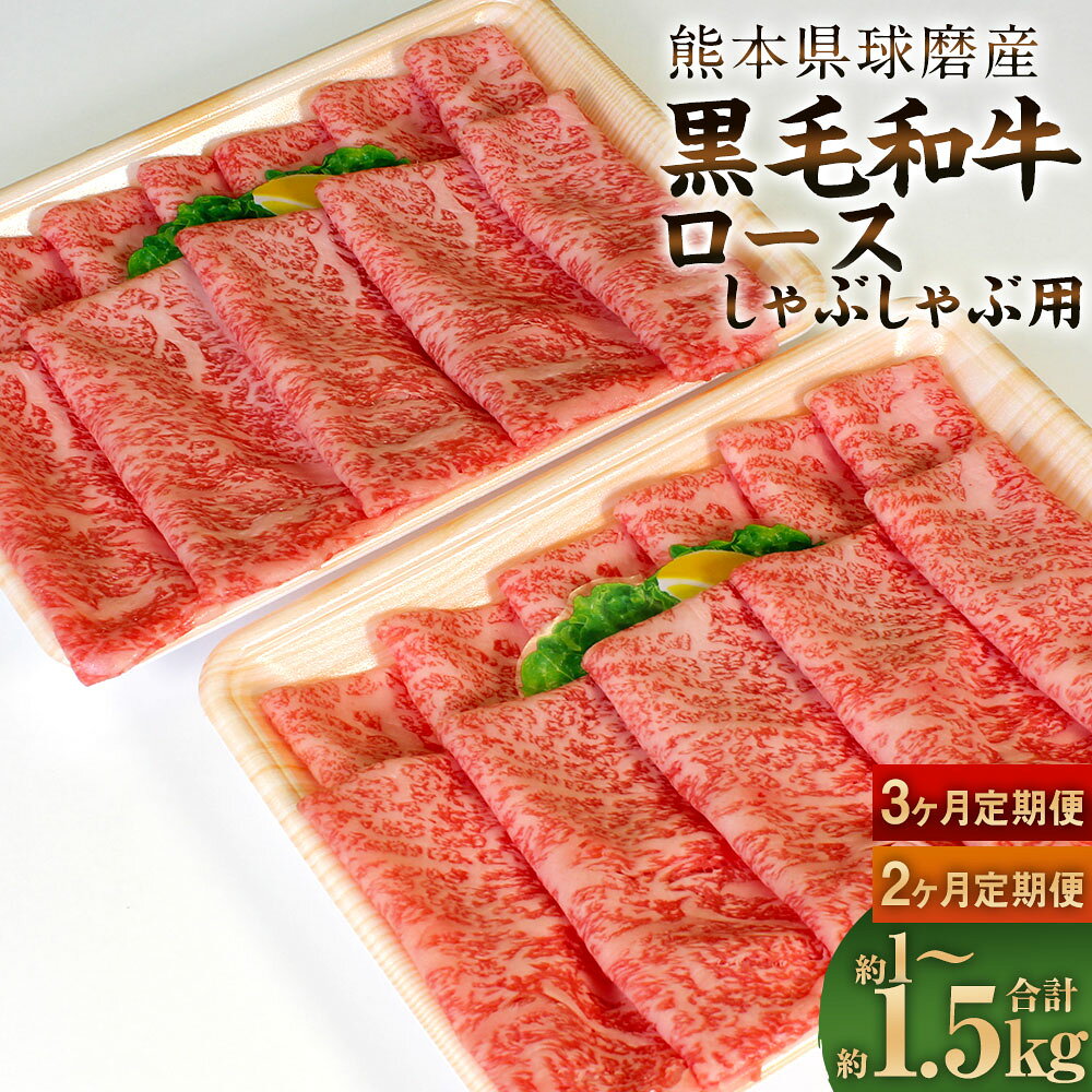 【選べる定期便】球磨産 黒毛和牛 ロース しゃぶしゃぶ用 合計約1kg～1.5kg 1回合計約500g 約250g×2パック 球磨黒毛和牛 国産牛 和牛 牛肉 肉 お肉 スライス 冷凍 2ヶ月定期便 3ヶ月定期便 国産 九州産 熊本県産 相良村 送料無料