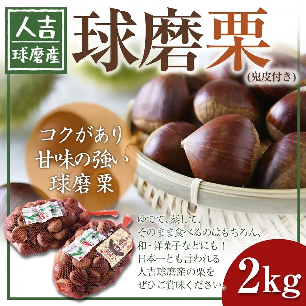 【ふるさと納税】＜予約＞球磨栗（鬼皮付き）約2kg【2026年9月下旬～10月下旬発送予定】栗 くり 筑波 美玖里 複数種 ミックス 冷蔵 人吉球磨産 国産 九州 熊本県 相良村 送料無料
