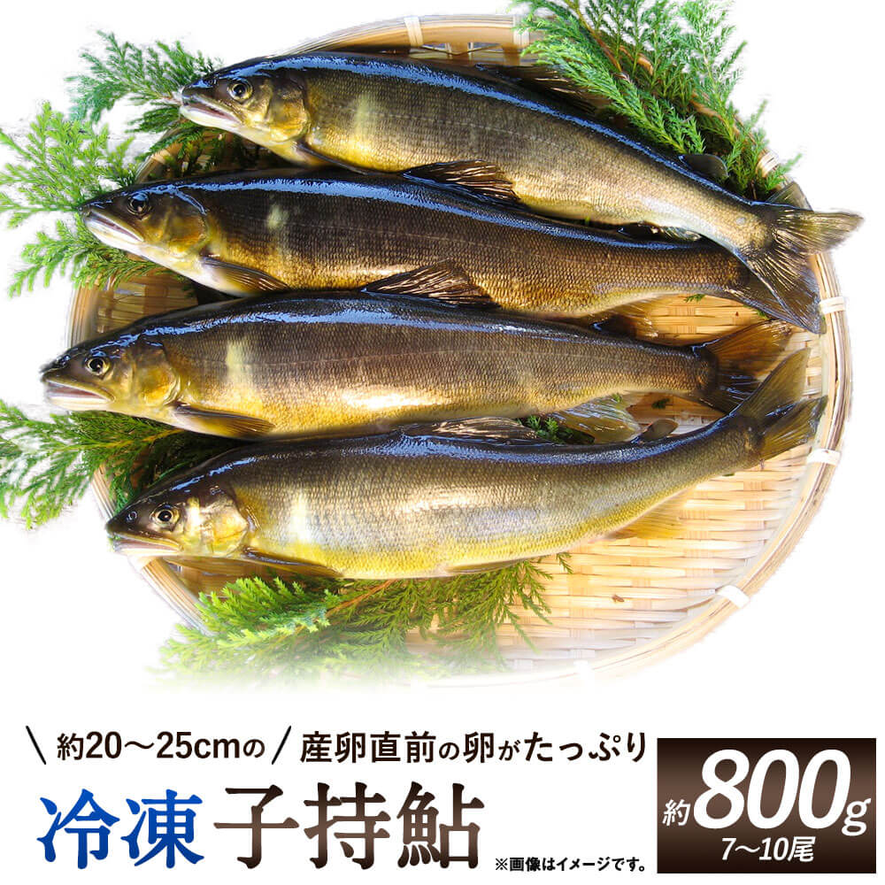 産卵直前の卵がたっぷりの冷凍子持鮎 約800g(7〜10尾) 子持ち鮎 アユ あゆ 子持ち 養殖 魚 冷凍 送料無料