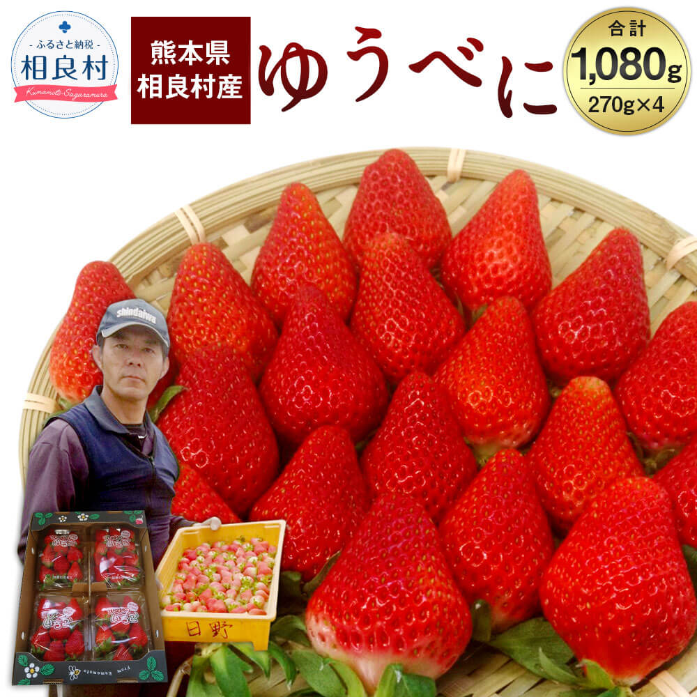 【ふるさと納税】相良村産 いちご「ゆうべに」 270g×4パック 合計1,080g【2021年12月上旬頃より発送予定】 日野農園 熊本県産 フルーツ イチゴ 苺 送料無料