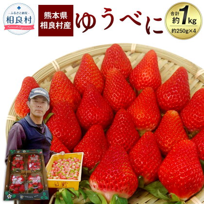 相良村産 いちご「ゆうべに」 約250g×4パック 合計約1kg 日野農園 熊本県産 フルーツ イチゴ 苺 送料無料