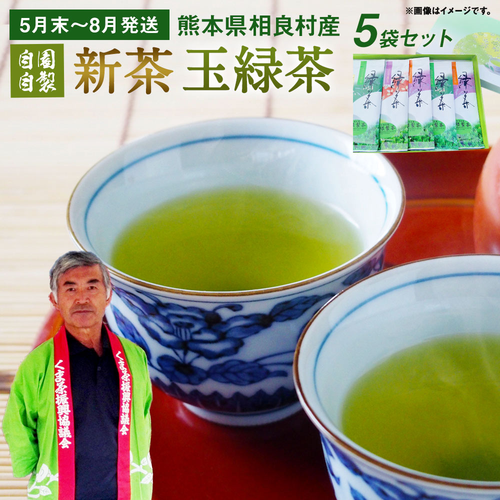 玉緑茶（自園自製) 新茶 100g×5袋 ※5月末より順次発送 緑茶 お茶 九州産 熊本県相良村産 送料無料