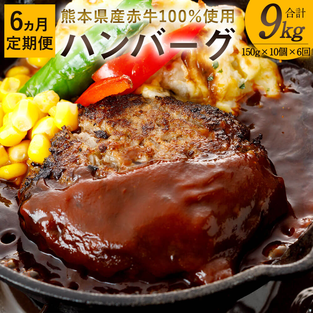 [6ヶ月定期便][6回]熊本県産赤牛 ハンバーグ 150g×10個 6か月合計9kg 9000g 10個セット 150g×10 赤牛 お肉 牛肉 ギフト 贈り物 国産 九州産 熊本県産 冷凍 送料無料 半年 6ヶ月