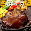 【ふるさと納税】【6ヶ月定期便】【6回】熊本県産赤牛 ハンバーグ 150g×10個 6か月合計9kg 9000g 10個セット 150g×10 赤牛 お肉 牛肉 ギフト 贈り物 国産 九州産 熊本県産 冷凍 送料無料 半年 6ヶ月