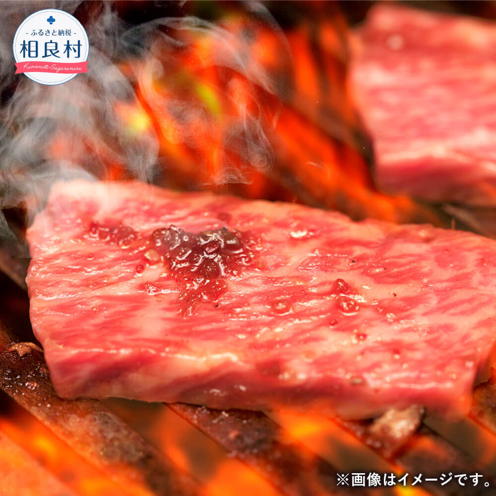 15位! 口コミ数「0件」評価「0」【定期便6回】肥後のあか牛 焼肉用 500g 6回 合計3kg 焼き肉 BBQ 九州産 熊本県産 国産 牛肉 お肉 グルメ お取り寄せ 冷凍･･･ 