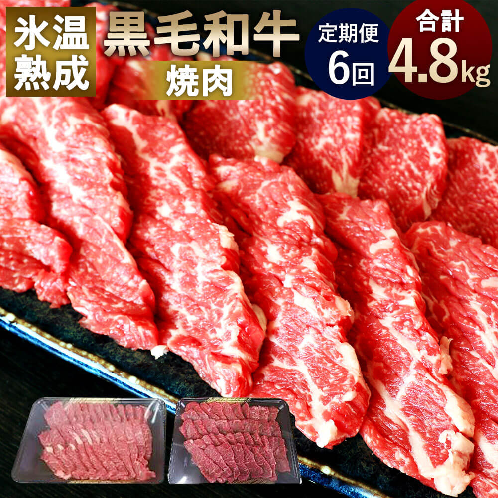 【定期便6回】氷温熟成 黒毛和牛 焼肉 合計4.8kg 800g(400g×2)×6回 熟成 和牛 牛肉 お肉 国産 熊本県産 焼き肉 BBQ 冷凍 送料無料
