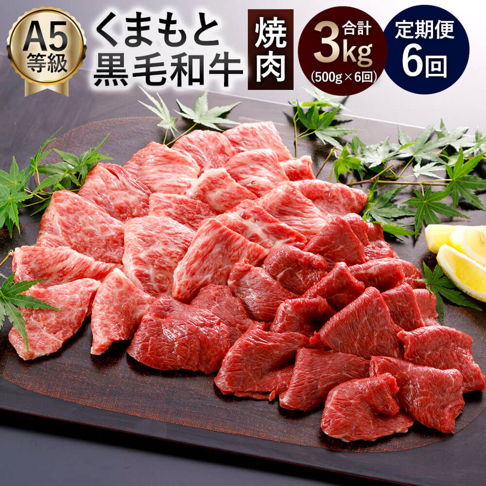 【定期便6回】A5ランク くまもと黒毛和牛 焼肉 合計3kg 500g×6回 九州産 熊本県産 黒毛和牛 牛肉 お肉 お取り寄せ BBQ バーベキュー 国産 国産牛 冷凍 送料無料