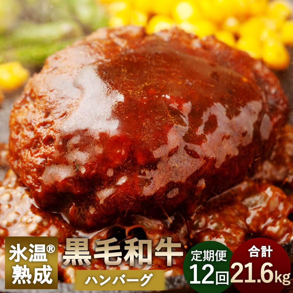 【定期便12回】氷温(R)熟成 黒毛和牛 ハンバーグ 合計21.6kg 150g×12個(合計1.8kg)×12回 熟成 和牛 国産 熊本県産 惣菜 おかず 冷凍 送料無料