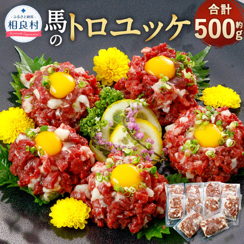 【ふるさと納税】馬のトロユッケ 合計約500g 約50g×10個 馬ユッケ 馬肉 馬刺し 肉 小分け お取り寄せ おつまみ グルメ 冷凍 送料無料