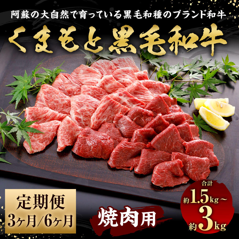 【ふるさと納税】【選べる定期便】くまもと黒毛和牛 焼肉用 約500g 3ヶ月 約500g×3回 合計約1.5kg 6ヶ月 約500g×6回 合計約3kg ブランド 和牛 黒毛和牛 熊本県産 九州産 国産 牛肉 黒毛和種 お肉 肉 焼き肉 BBQ バーベキュー やきにく 冷凍 送料無料