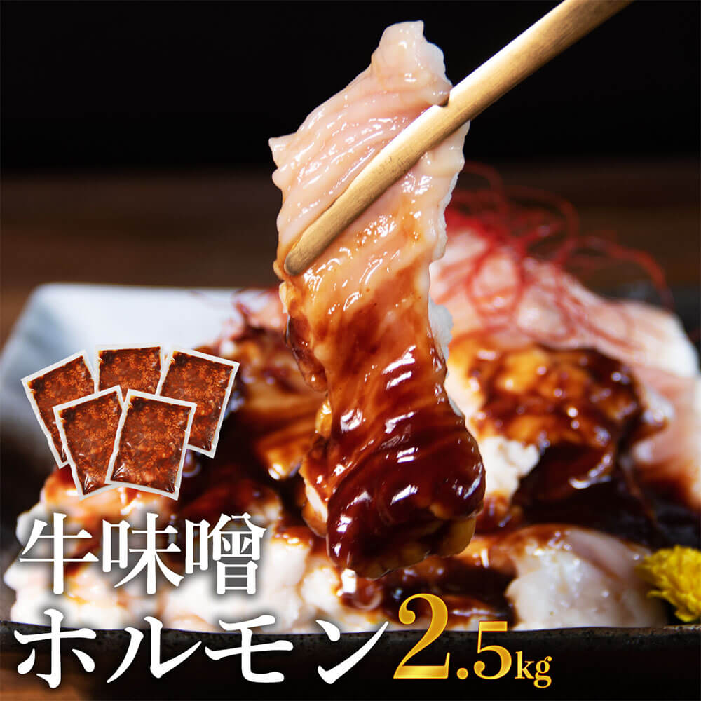 牛みそホルモン 計2.5kg 500g×5パック 味噌味 味噌ホルモン 牛味噌 ホルモン 焼くだけ 冷凍 小分け お肉 牛肉 熊本県 相良村 送料無料
