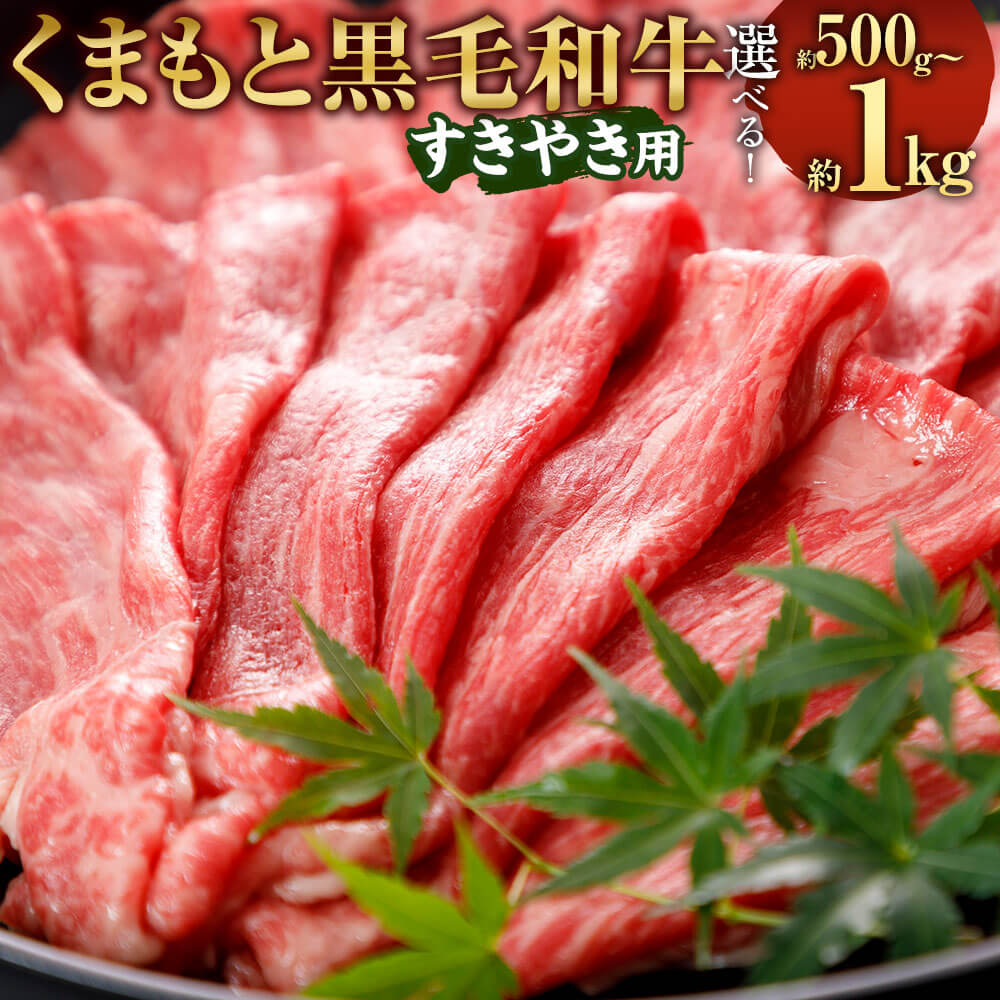 [選べる 容量]くまもと黒毛和牛 すきやき用 約500g/約1kg 1000g ブランド 和牛 黒毛和牛 熊本県産 九州産 国産 牛肉 スライス 黒毛和種 お肉 肉 すき焼き すき焼き 冷凍 送料無料