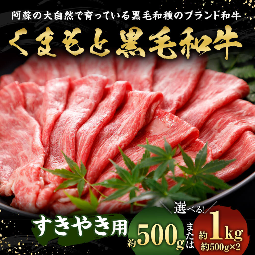 【ふるさと納税】＜選べる 容量＞くまもと黒毛和牛 すきやき用 約500g/約1kg 1000g ブランド 和牛 黒毛和牛 熊本県産 九州産 国産 牛肉 スライス 黒毛和種 お肉 肉 すき焼き すき焼き 冷凍 送料無料 f435104-sagara-10001370 熊本県相良村 サンプル画像2