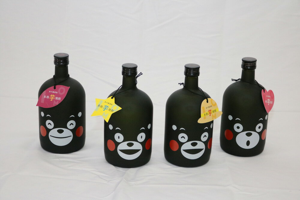 熊本県相良村の画像3