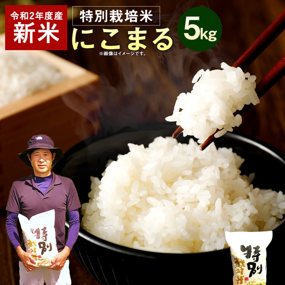 【ふるさと納税】【令和2年産 新米】相良村産 特別栽培米 にこまる 5kg お米 白...