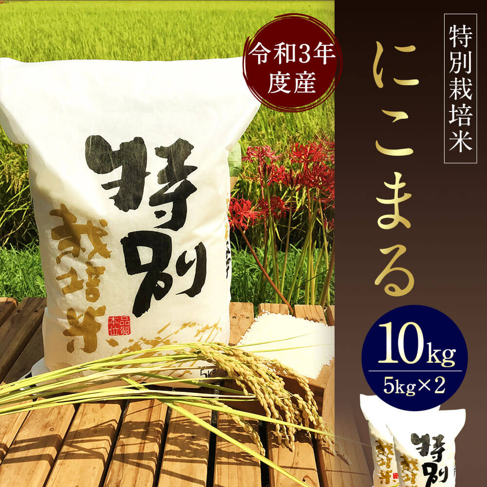 【ふるさと納税】【令和3年産】相良村産 特別栽培米 にこまる 10kg 5kg×2 お米 白米 精米 熊本県産 国産 九州産 送料無料