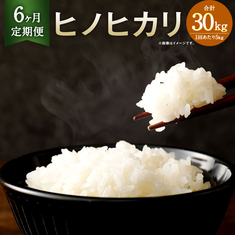 ڤդ뤵Ǽǡۡ6ء¼ ҥΥҥ 5kg 30kg 5kg6  6    ܸ  彣 ̵