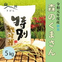 【ふるさと納税】相良村産 新米 特別栽培米 森のくまさん 5kg お米 白米 精米 令和元年度産 ギフト 贈り物 プレゼント 熊本 国産 九州産 送料無料