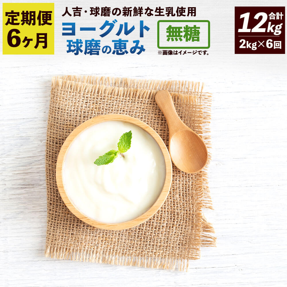 54位! 口コミ数「0件」評価「0」【定期便／年6回】球磨の恵み ヨーグルト 砂糖不使用 無糖 2kg×6回 1kg×2パック 合計12kg プレーンヨーグルト 乳製品 人吉球･･･ 