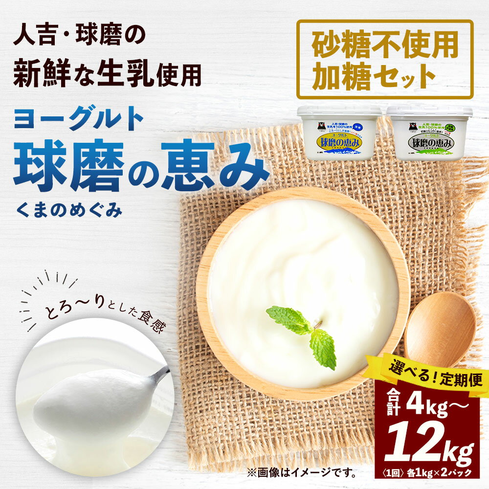 【ふるさと納税】＜選べる 定期便 ＞ 球磨の恵み ヨーグルト ( 加糖 、 砂糖不使用 ) 各1kg 計2kg 計2パック セット 2回／3回／4回／5回／6回 乳製品 生乳 朝ごはん スイーツ おやつ ジャム シリアル グラノーラ ヘルシー 人吉球磨 国産 熊本県産 相良村 冷蔵 送料無料