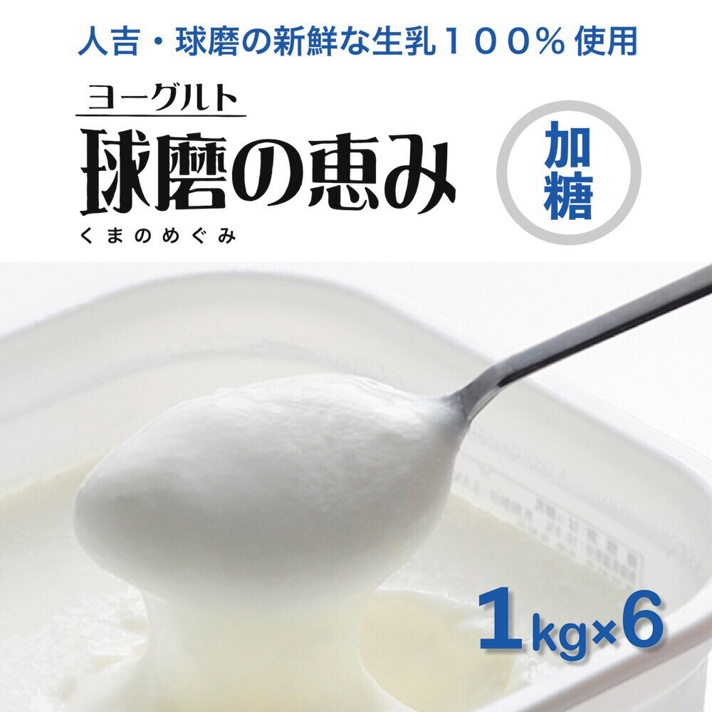 【ふるさと納税】球磨の恵み ヨーグルト プレーン 加糖 1kg 6パック 合計6kg 人吉球磨産 乳製品 大容量 送料無料