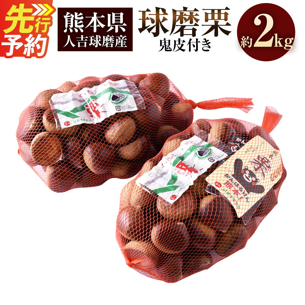 ＜予約＞球磨栗（鬼皮付き）約2kg【2026年9月下旬～10月下旬発送予定】栗 くり 筑波 美玖里 複数種 ミックス 冷蔵 人吉球磨産 国産 九州 熊本県 相良村 送料無料
