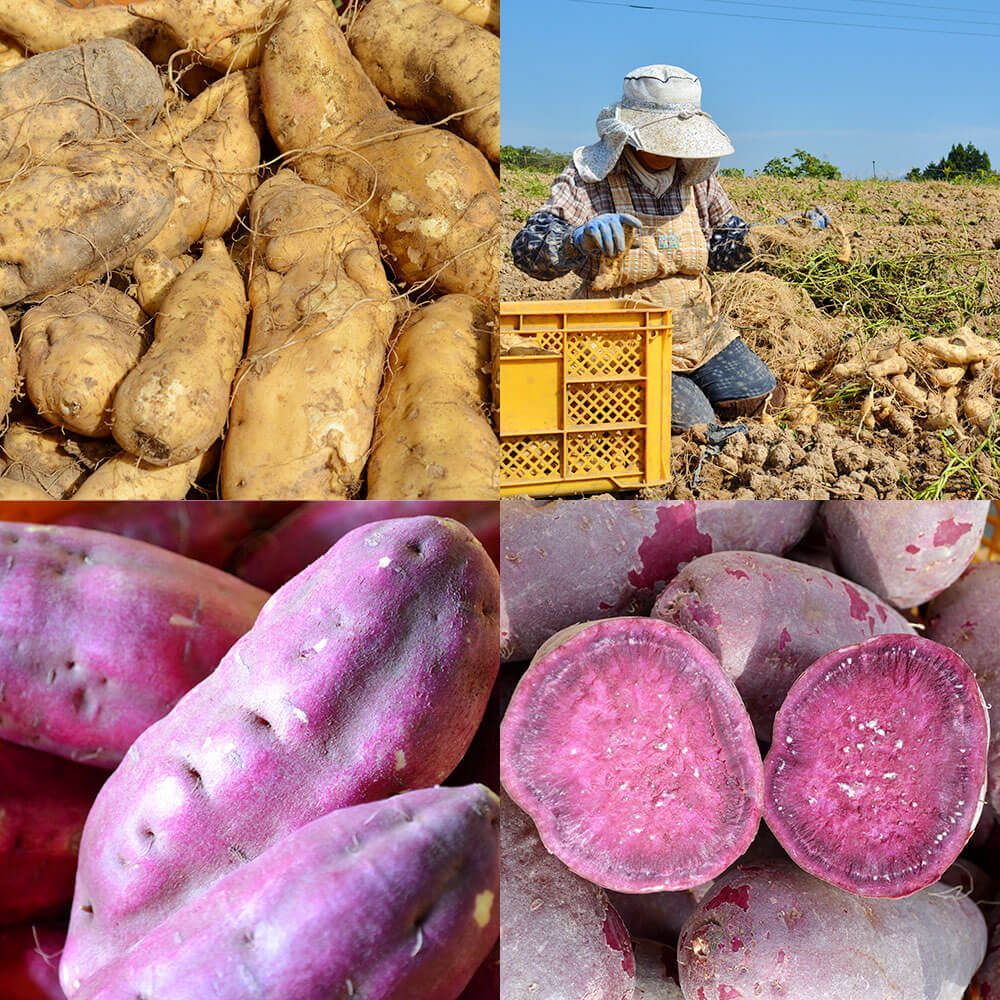 熊本県相良村の画像3