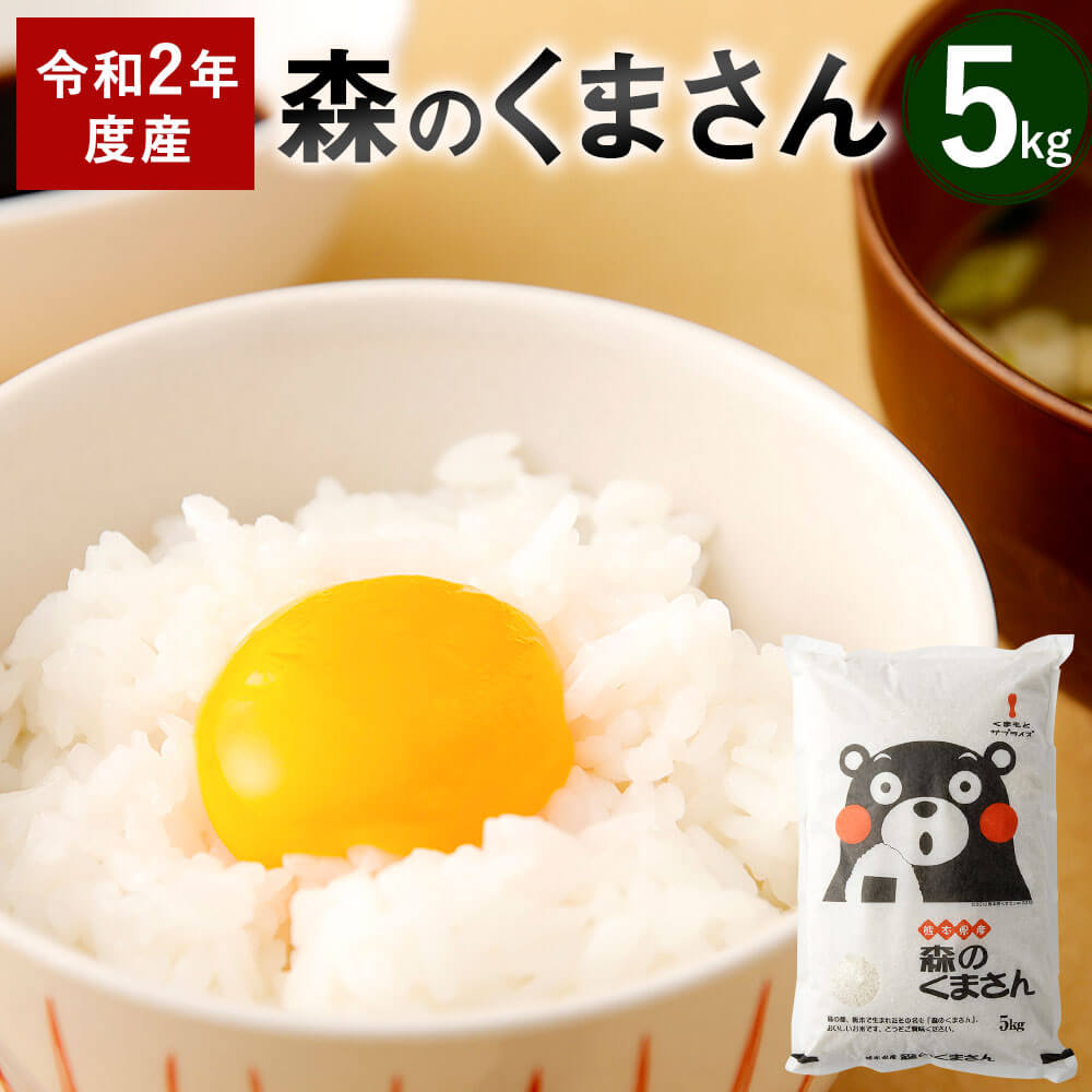 【ふるさと納税】【令和2年産】森のくまさん 5kg お米 白米 精米 熊本県産 人吉...