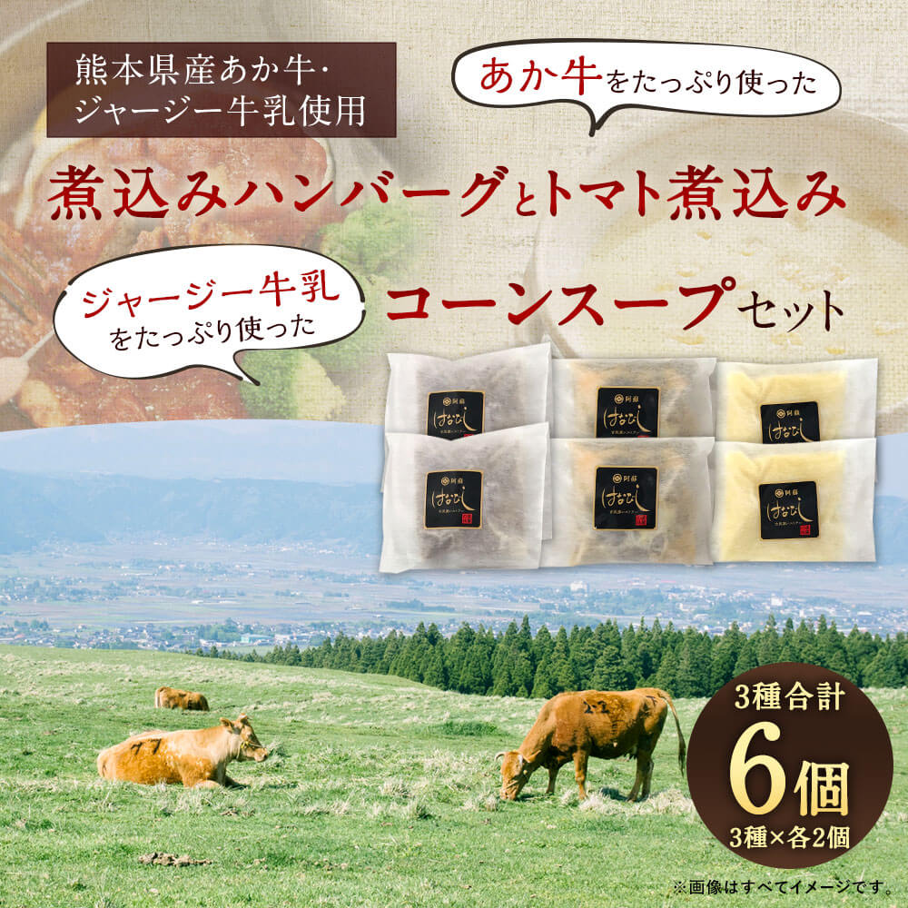 【ふるさと納税】あか牛の煮込みハンバーグ と トマト煮込み・ジャージー牛乳を使ったコーンスープ のセット 6個セット あか牛ハンバーグ200g×2個 あか牛トマト煮200g×2個 コーンポタージュ140g×2個 和牛 ジャージー牛乳 冷凍 送料無料 f435104-sagara-10001169 熊本県相良村 サンプル画像2