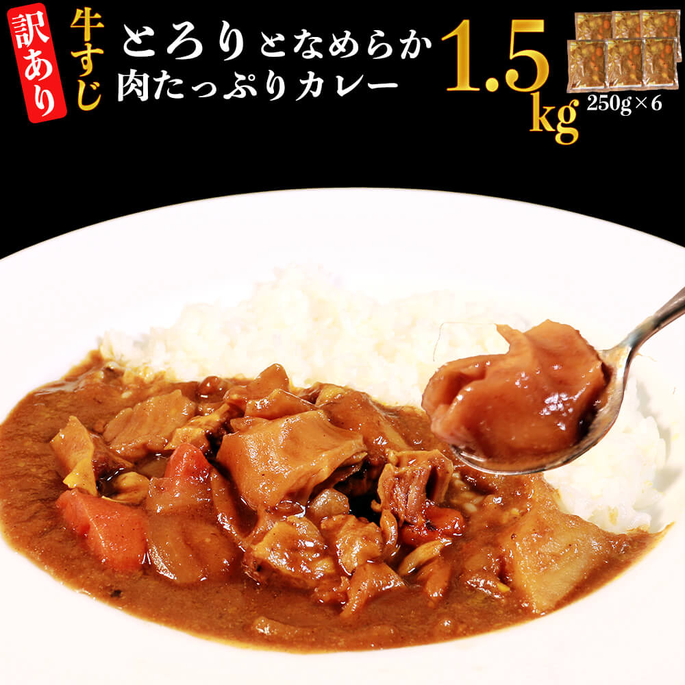 [訳あり]具だくさん やわらか牛すじカレー 合計約1.5kg 約250g×6パック 牛すじ 牛 牛肉 本格カレー 小分け おかず 惣菜 簡単調理 お取り寄せ グルメ 冷凍 送料無料