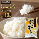 【ふるさと納税】【令和5年産】にこまる ＜選べる容量＞ 5kg または 10kg 5kg×2袋 お米 精米 白米 米 ご飯 ごはん ライス 九州産 熊本県産 相良村産 国産 送料無料