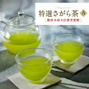 【ふるさと納税】熊本県品評会受賞園 「さがら茶」 ギフト （A） 100g×2 お茶 緑茶 茶葉 お茶葉 熊本県産 相良村産 送料無料