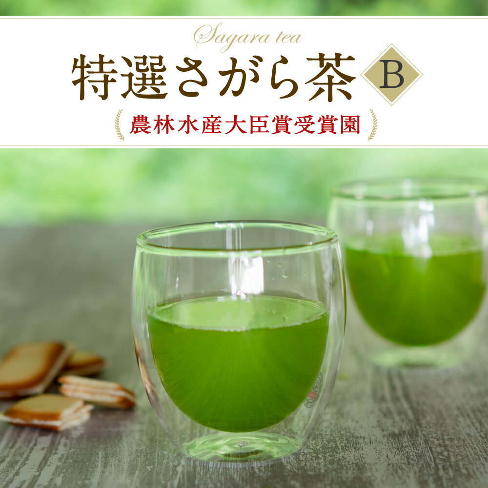 熊本県品評会受賞園 「さがら茶」 ギフト (B) 100g×2 お茶 緑茶 茶葉 お茶葉 熊本県産 相良村産 送料無料