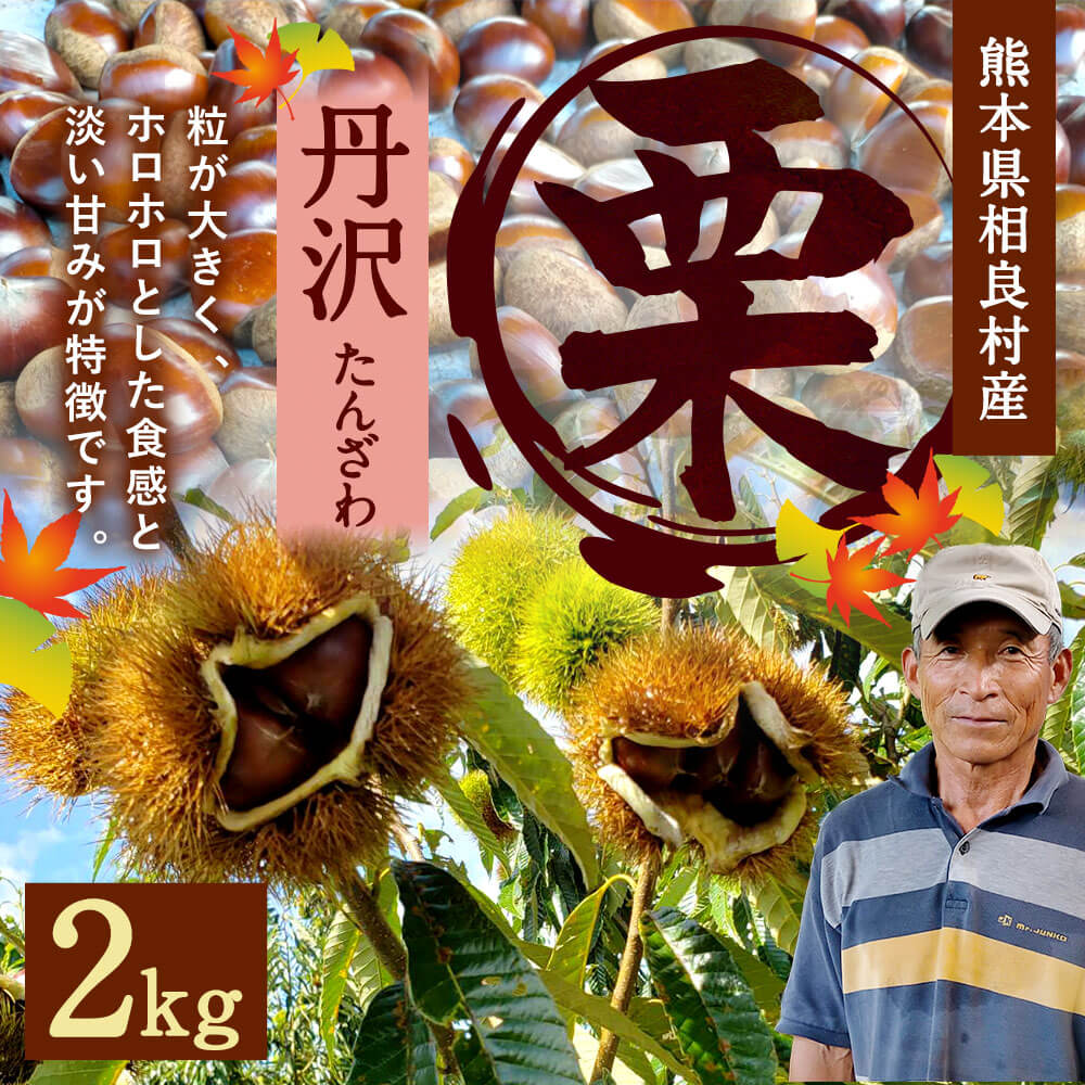 【ふるさと納税】栗 丹沢 2kg 【2024年8月下旬頃より順次発送予定】 クリ くり 旬 大粒 九州産 熊本県産 相良村産 果物 フルーツ 予約 冷蔵配送 送料無料