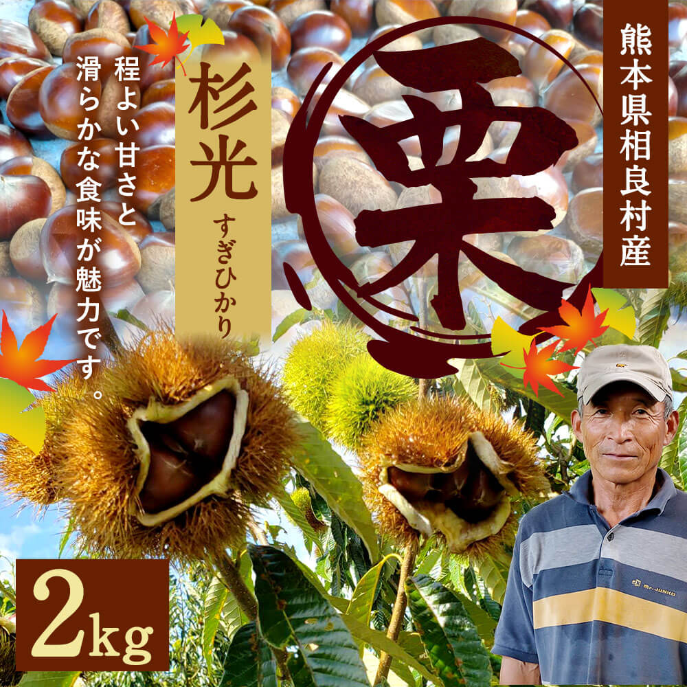 【ふるさと納税】 栗 杉光 2kg 【2024年9月上旬頃より順次発送予定】 クリ くり 旬 大粒 九州産 熊本県産 相良村産 果物 フルーツ 予約 冷蔵配送 送料無料