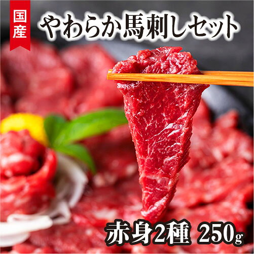 国産 やわらか馬刺しセット 合計250g 上赤身 ヒレ セット 馬刺し 送料無料