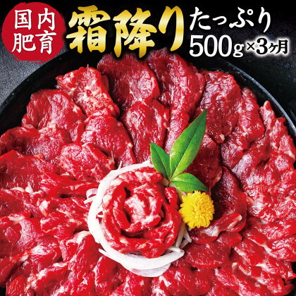 【3ヶ月定期便】 熊本 馬刺し 霜降り たっぷり 3回合計約1.5kg 1回合計約500g 約50g×10パック 専用醤油付き 中トロ 小分け 国内肥育 定期便 ばさし 馬肉 桜肉 おつまみ 酒の肴 冷凍 送料無料