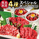 【ふるさと納税】【3ヶ月定期便】 国産 馬刺し 4種スペシャルセット 3回合計約750g 1回合計約250g 上赤身 霜降り 中トロ 大トロ 馬刺しユッケ 食べ比べ ゆっけタレ 専用醤油付き 定期便 国内肥育 ばさし 馬肉 桜肉 おつまみ 酒の肴 冷凍 送料無料