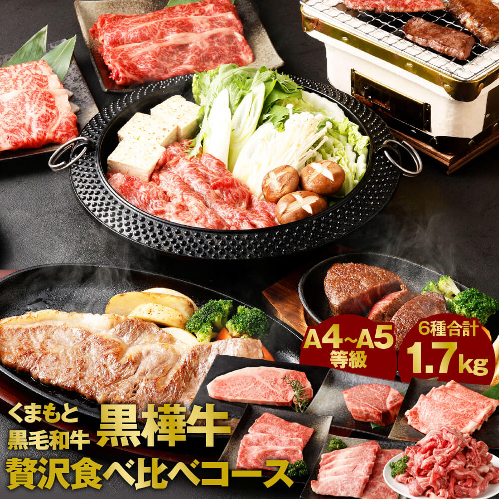 くまもと黒毛和牛 黒樺牛 A4～A5等級 贅沢食べ比べコース 合計1.7kg 6種セット サーロイン ヒレステーキ ローススライス 肩ローススライス 焼肉用カルビ 切り落とし 食べ比べ 和牛 牛肉 九州産 熊本県産 冷凍 送料無料