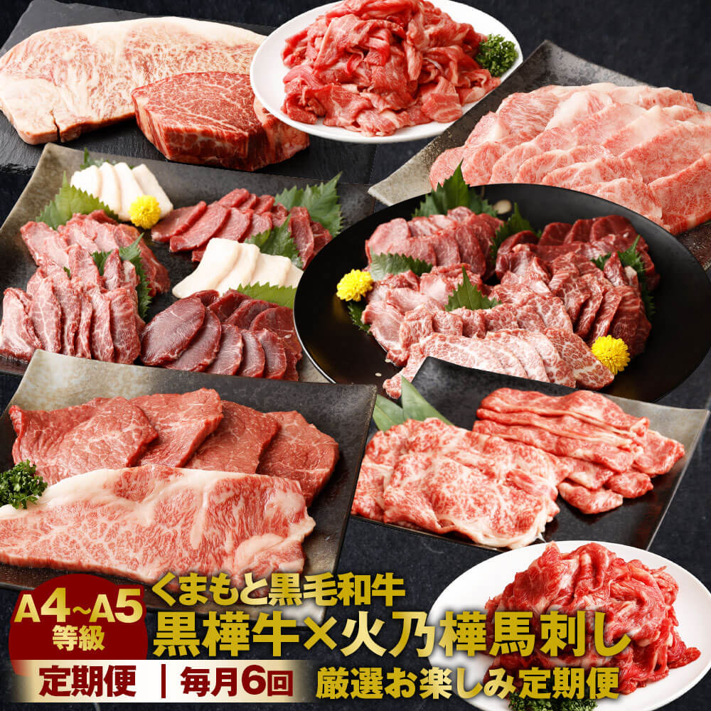 【6回定期便】くまもと黒毛和牛 黒樺牛×火乃樺馬刺し 厳選 お楽しみ 定期便 火乃樺 馬刺し 大トロ 中トロ 赤身 タテガミ A4～A5等級 サーロイン ヒレ カルビ モモ ロース 肩ロース 切り落とし 和牛 牛肉 黒毛和牛 冷凍 送料無料