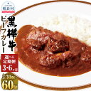 【ふるさと納税】【3ヶ月、6ヶ月定期便】黒樺牛ビーフカレー 1回計2kg（200g×10パック） 黒毛和牛 牛肉 牛 お肉 肉 和牛 バラ モモ 肩ロース スネ肉 牛テールスープ レトルトカレー 常温 熊本県産 国産 九州 熊本県 相良村 送料無料