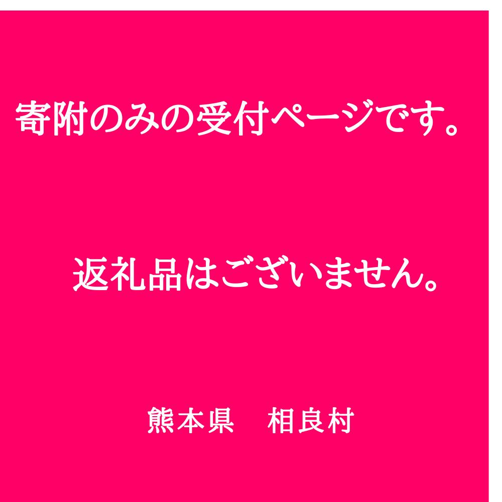 【ふるさと納税】 ＜寄附のみの応援受付(返礼品はございません)＞ 熊本県 相良村 返礼品なし(99-01)