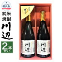 【ふるさと納税】限定川辺 720ml 2本セット 本格米焼酎